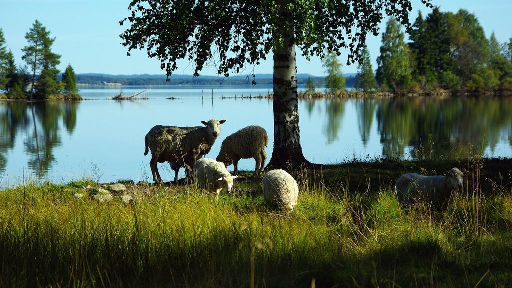 Lits Camping, Stugby Och Kanot Exteriér fotografie